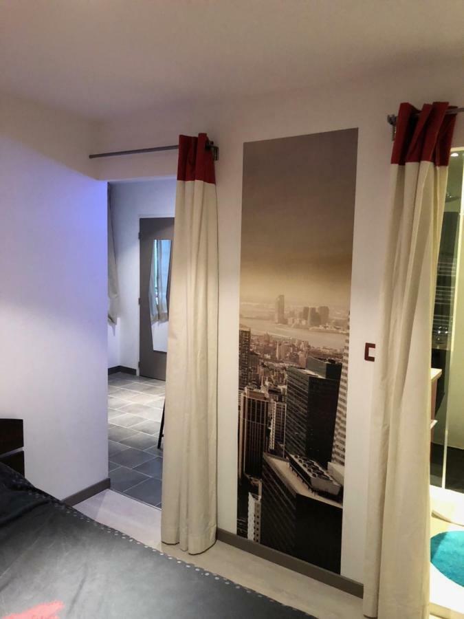 Lulu Philippe Apartment Saint-Etienne (Loire)